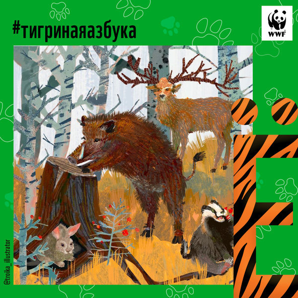 Фото №7 - Тигры от А до Я: WWF России и Woman.ru выпустили карточки об амурском тигре