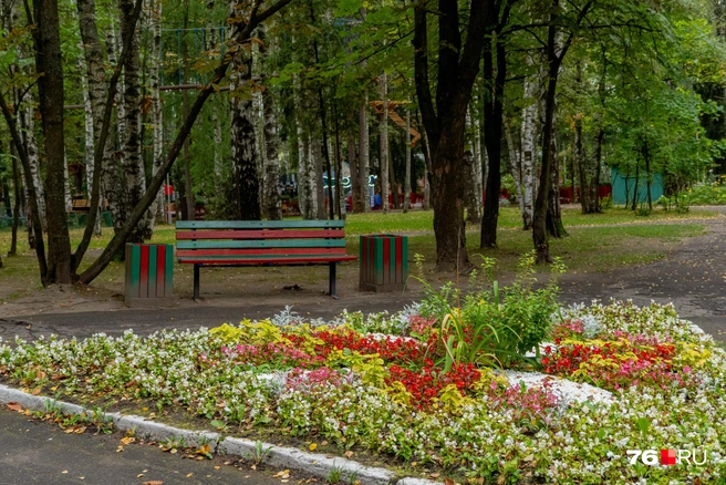 Работники стараются наводить красоту с помощью цветов | Источник: Кирилл Поверинов / 76.RU