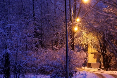 Body of missing girl found in Tobolsk