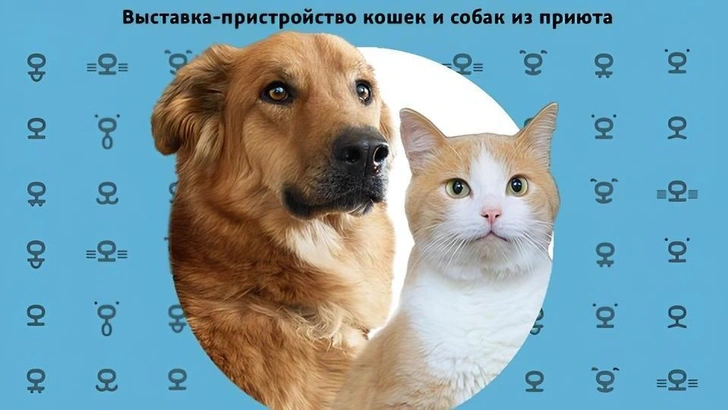 Источник: Пресс-служба