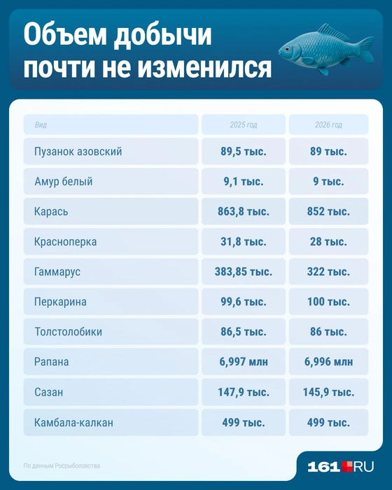 Источник: Серафима Пантыкина / Городские медиа