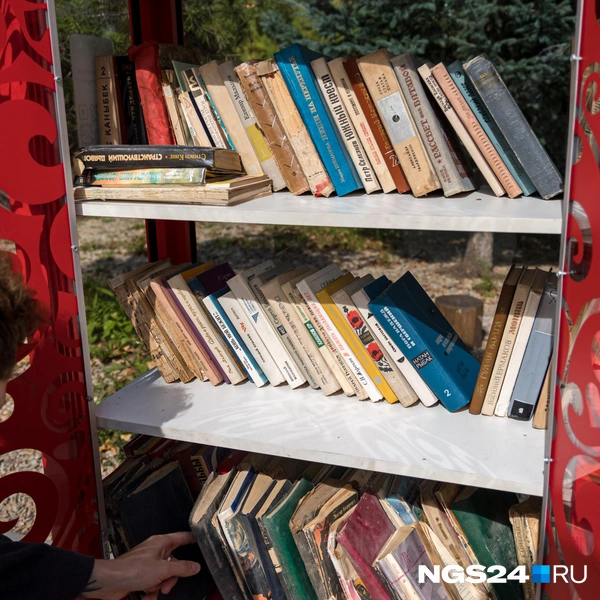 Есть красивый книжный шкаф | Источник: Мария Ленц / NGS24.RU