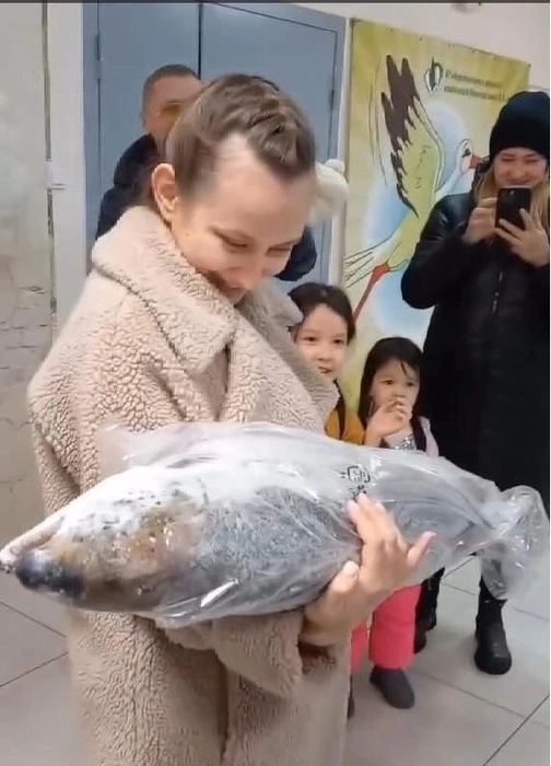 Романтика по-югорски: в Нефтеюганске муж подарил жене на выписку гигантскую рыбу вместо цветов — видео | Источник: соцсеть Кристины