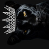 userpic__Tatа06