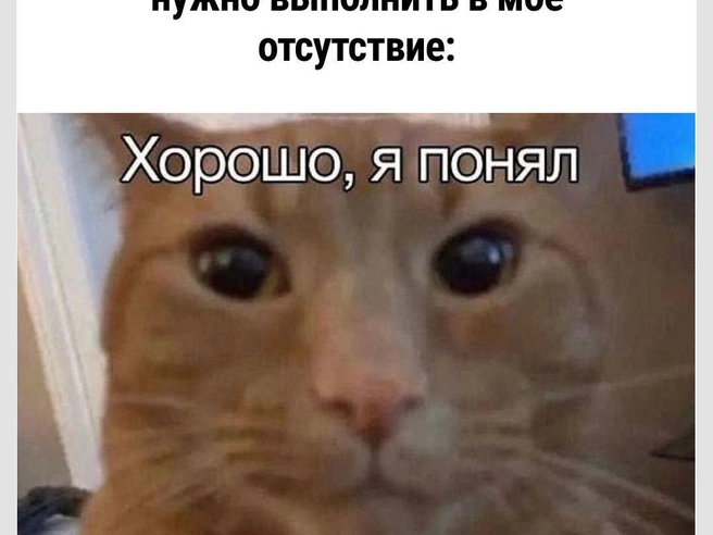 Но переспрашивать опасно | Источник: Городские медиа