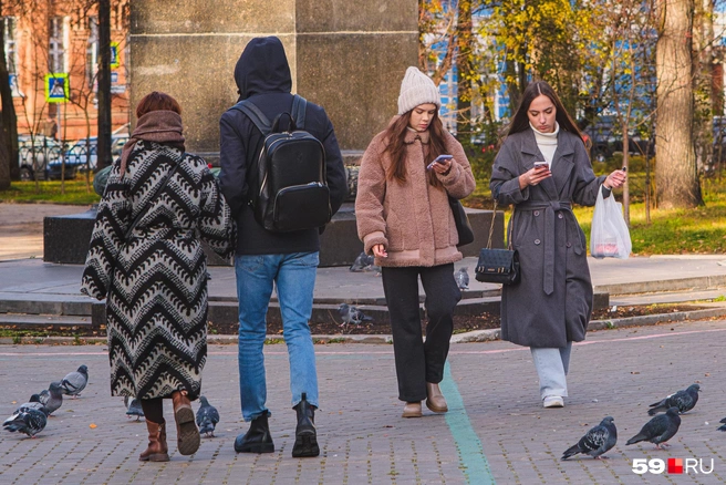 Кто-то на свидании, а кто-то вышел на обед | Источник: Тимофей Калмаков / 59.RU