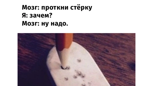 Избранные мемы «Мозг: сделай это!»