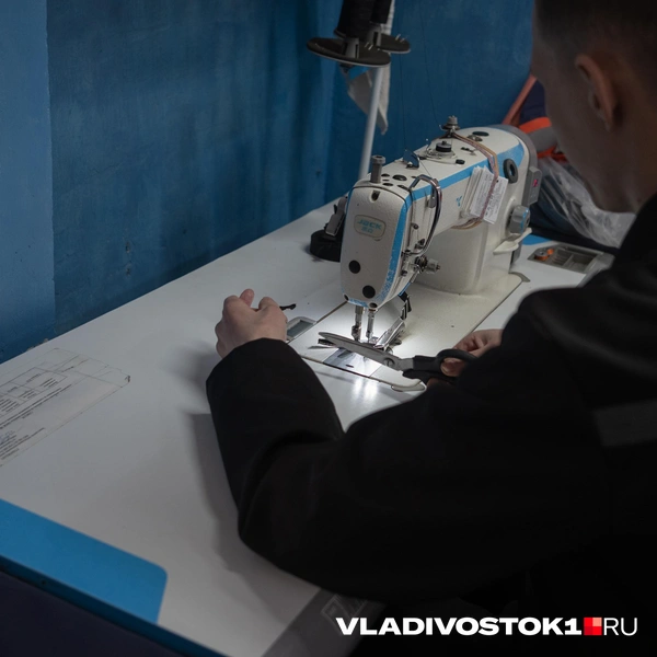 Источник: Елена Буйвол / VLADIVOSTOK1.RU