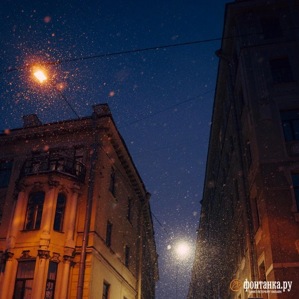 Источник: Наталья Гончарова / FONTANKA.RU