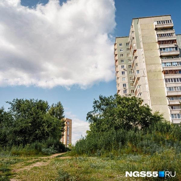 «Улица и полная свобода» | Источник: Кирилл Башинский / NGS55.RU