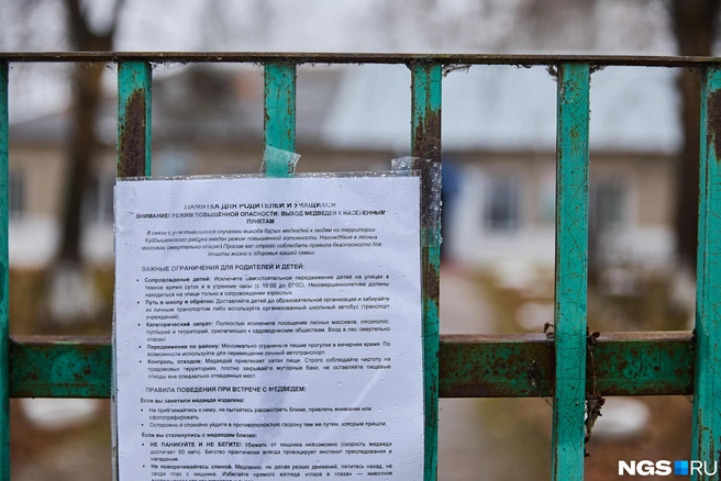 На входе в школу висит рекомендация для жителей  | Источник: Александр Ощепков / NGS.RU