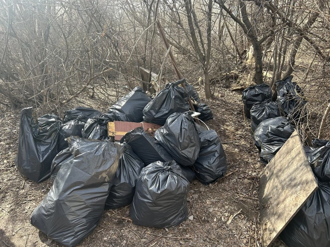 Весенние субботники в этом году на Южном Урале стартовали на две недели раньше. Губернатор будет лично контролировать уборку в городах области | Источник: Дарья Битюцких