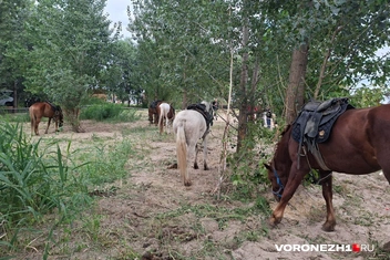 …и на отдыхе | Источник: Алёна Воропаева / Voronezh1.ru