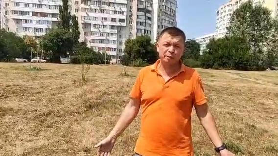 Активист недоумевает, почему власти не спасают деревья | Источник: Виталий Черкасов / T.me