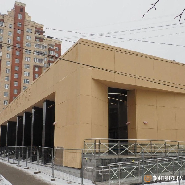 Источник: Михаил Огнев / «Фонтанка.ру»