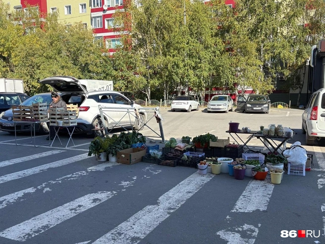 Товары с натуральными витаминами | Источник: Анастасия Сидорова / 86.RU