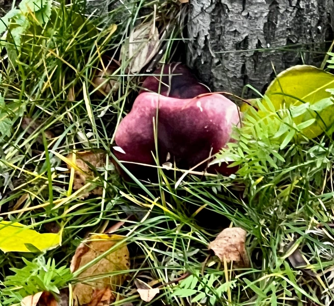 Источник: Татьяна Погодина