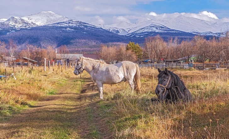 Эссо | Источник: DMITRIY VOROSHILOV/Shutterstock/Fotodom.ru