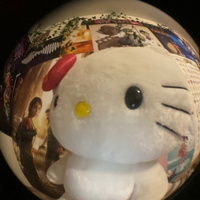 Аватарка жучка