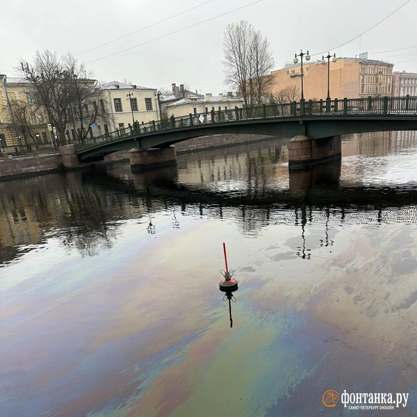 Источник: читатель «Фонтанки»