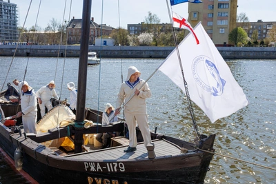 В Калининграде отпраздновали День селёдки