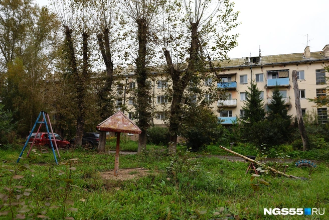 Судя по зарослям, на площадке давно никто не играет | Источник: Евгений Софийчук / NGS55.RU