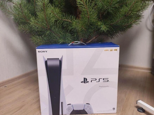 Один из новогодних сюрпризов. | Источник: читатель E1.RU Игорь