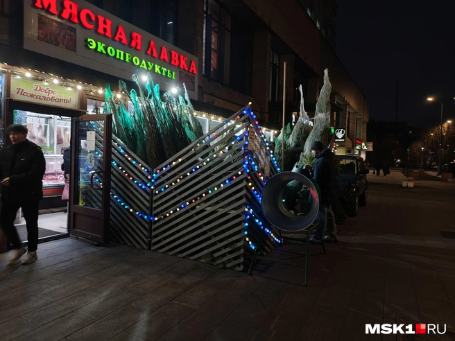 Источник: Серафима Путиева / MSK1.RU