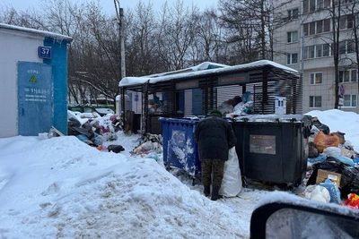 Мусорный коллапс в Москве и области: горы мусора во дворах