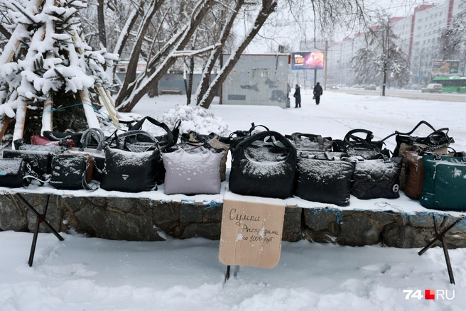 С приходом морозов на смену мандаринам и винограду пришли сумки | Источник: Михаил Шилкин