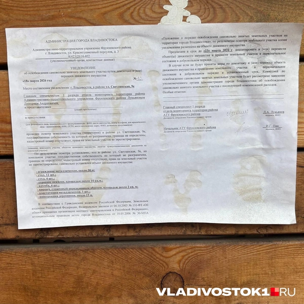 Источник: Елена Буйвол / VLADIVOSTOK1.RU