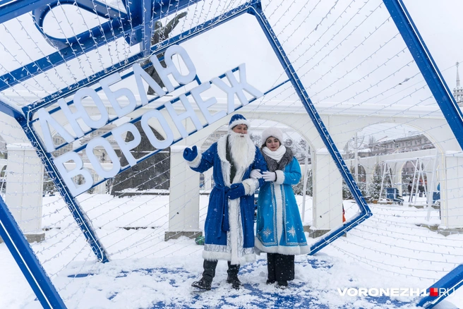 Источник: Дмитрий Волгин / Voronezh1.ru