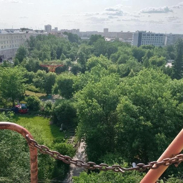 Видны извилистые пути детской железной дороги… | Источник: Рихарда Лем/ NGS.RU