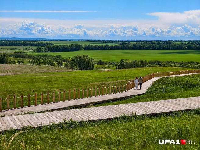 Бескрайние просторы | Источник: Булат Салихов / UFA1.RU