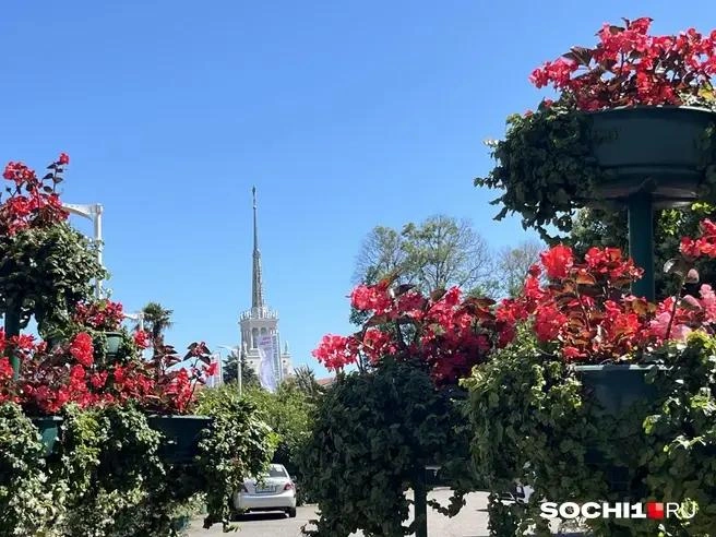 Всего нужно будет выбрать 50 депутатов | Источник: Анна Грицевич / SOCHI1.RU