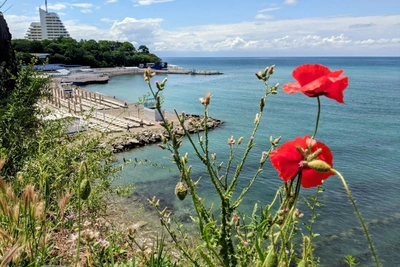 Анапа лидирует в бронированиях на майские праздники
