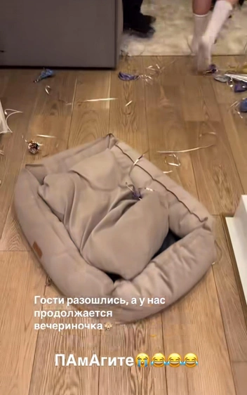 Дети навели беспорядок дома после вечеринки