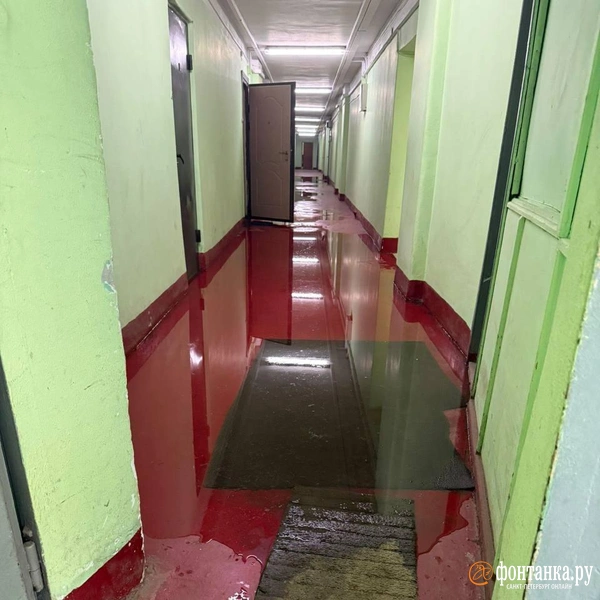 Власти пообещали отремонтировать подтопленное бомбоубежище на Лабораторной улице после материала «Фонтанки» | Источник: читатель «Фонтанки»