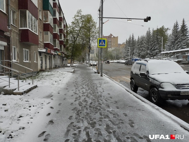 Источник: Антон Селиверстов / UFA1.RU