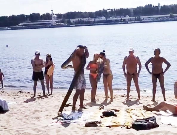 Жители города по-разному отреагировали на встречу со змеей | Источник: ПОДСЛУШАНО в ЯРОСЛАВЛЕ! / Vk.com
