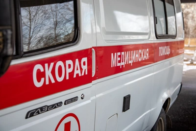 В Благовещенске с дерева спасли мужчину