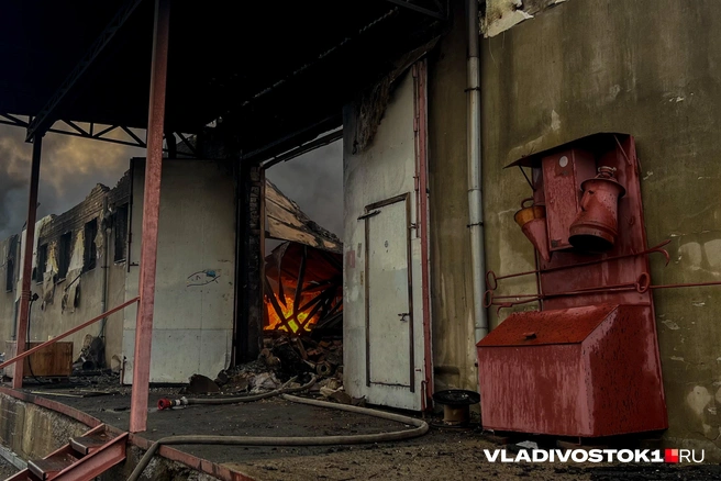 Других пострадавших не было | Источник: Елена Буйвол / VLADIVOSTOK1.RU