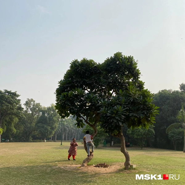 Источник: Лада Михайлович