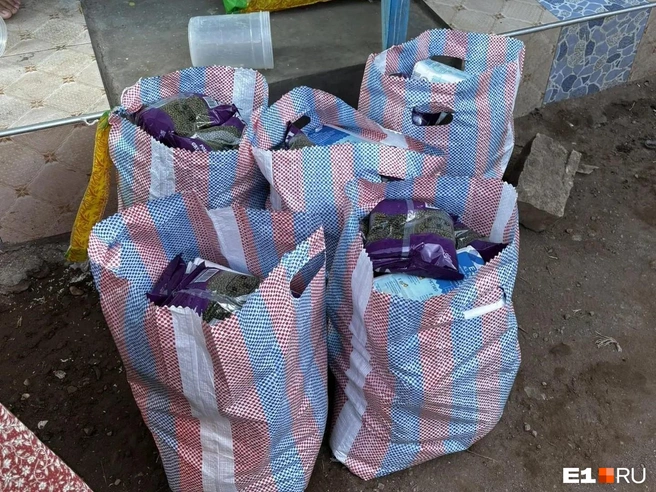 Продуктовые наборы для семей (в пакетах&nbsp;— рис, бобы, масло, сахар, соль и мука) | Источник: Анна Тимофеева
