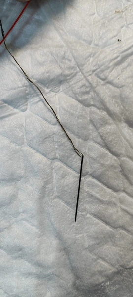 Так выглядит находка ветврачей | Источник: «Моя Ветклиника»