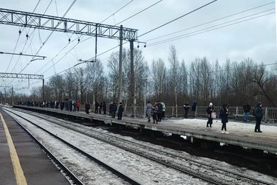 Человек на путях в Петербурге выбил электрички из графика