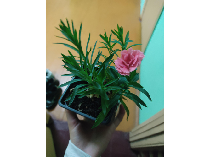Изображение пользователя
