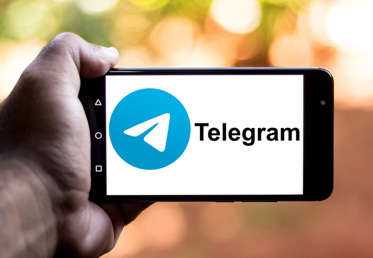 Московский школьник украл у родителей 2,5 миллиона рублей на раскрутку Telegram-канала