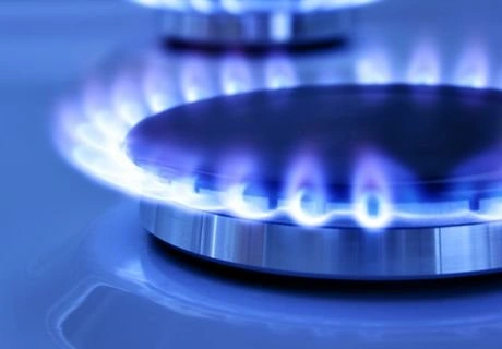 К 25 селам Рязанской области проведут газ | ya62.ru
