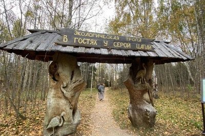 Дендросад в Переславле перешёл на новый график